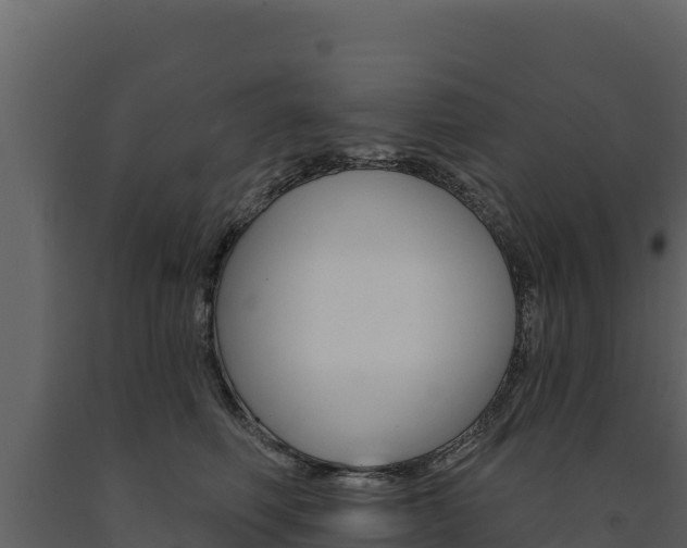 X0000091720614200708241022