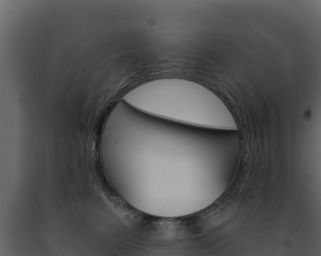 X0000091720615200708241022