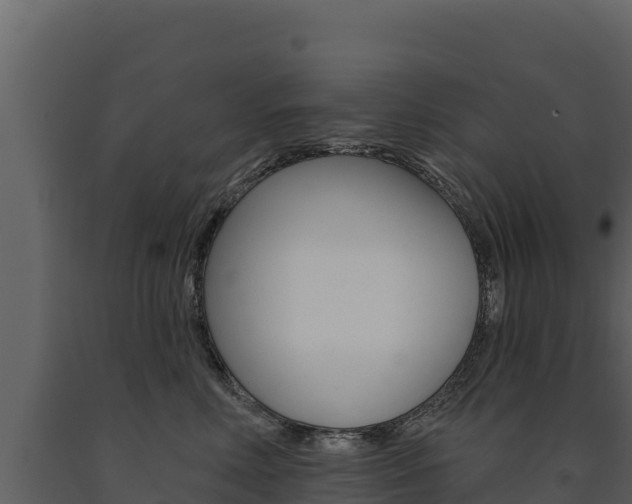 X0000091720618200708241022