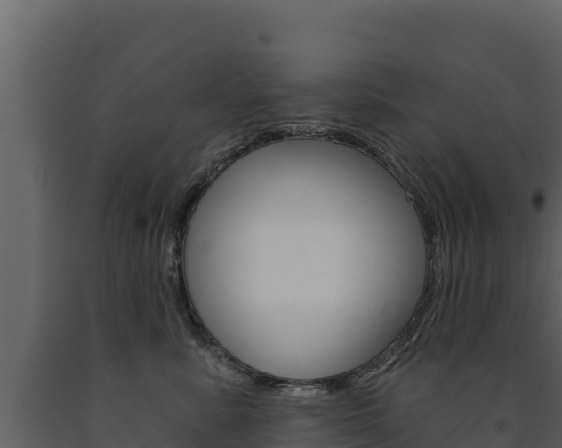 X0000091720619200708241022