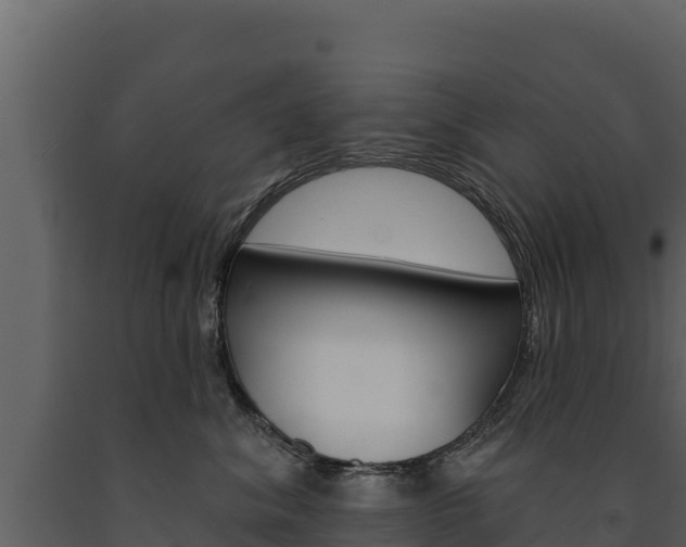 X0000091720620200708241021