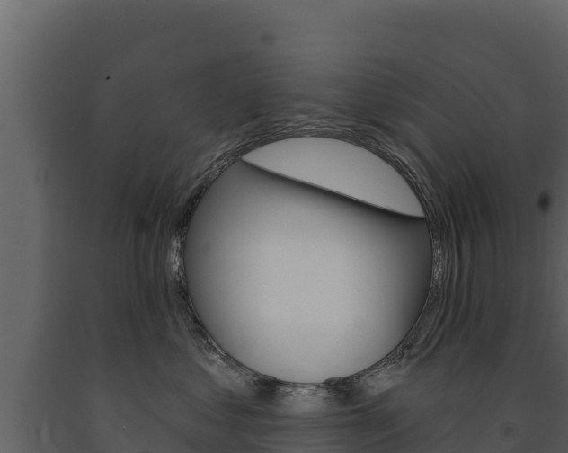 X0000091720621200708241021