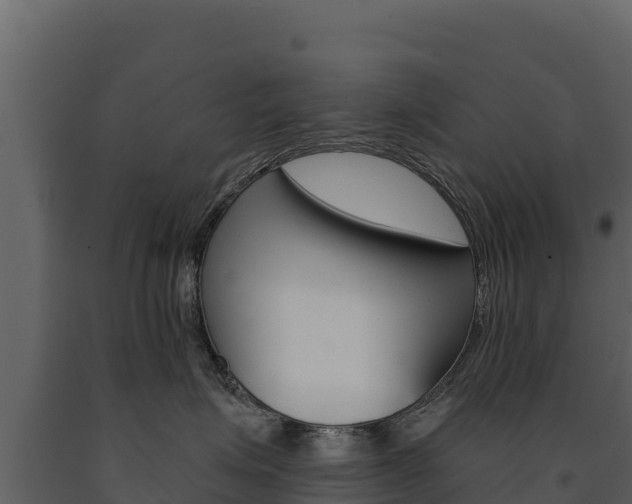 X0000091720623200708241021