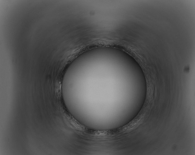 X0000091720624200708241021