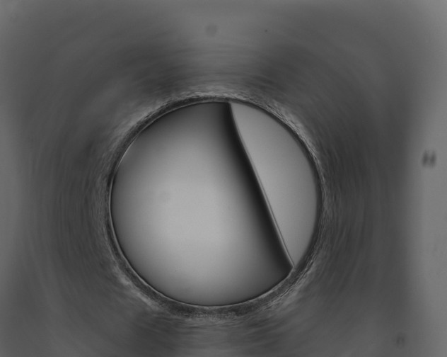 X0000091720625200708241021