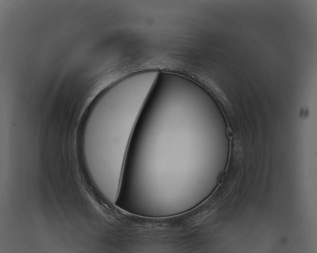 X0000091720626200708241021