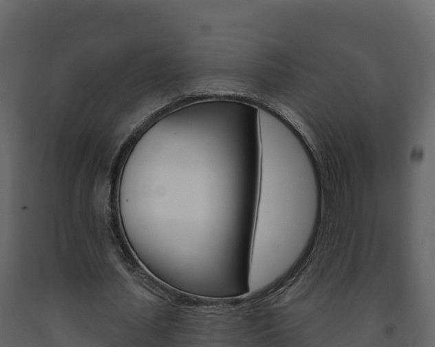 X0000091720627200708241021