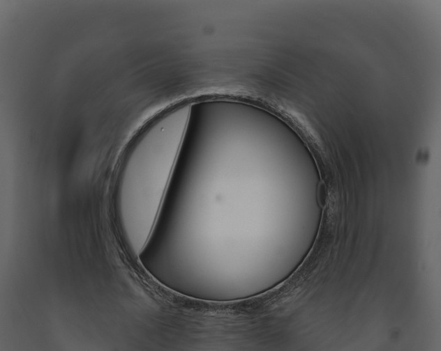 X0000091720628200708241021