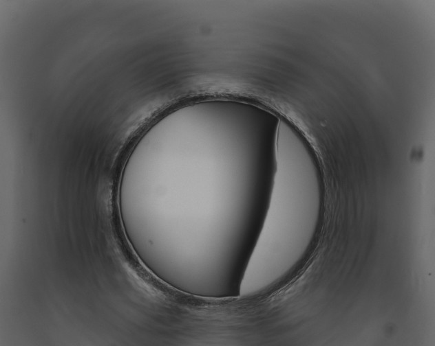 X0000091720629200708241021