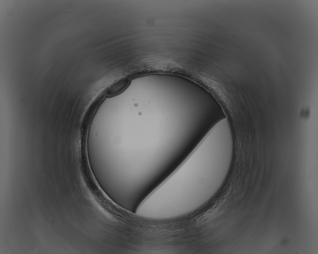 X0000091720630200708241021
