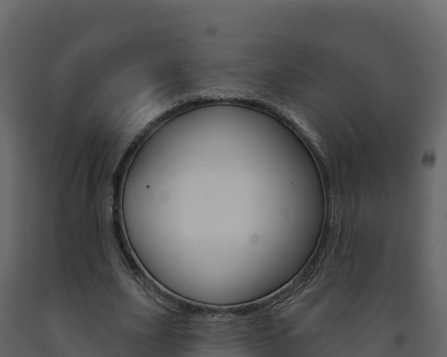 X0000091720631200708241021