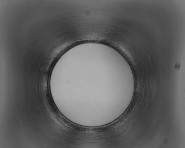 X0000091720632200708241021