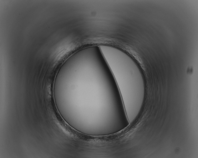 X0000091720633200708241021