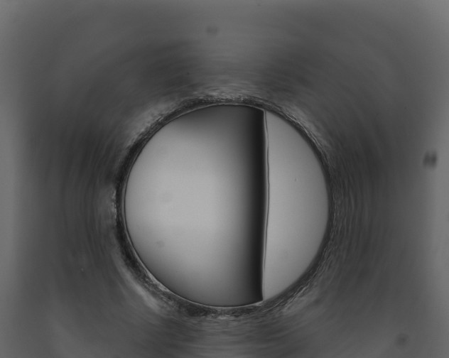 X0000091720634200708241021