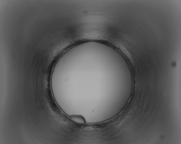 X0000091720635200708241021