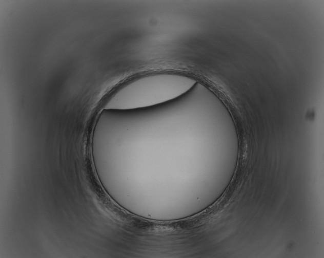 X0000091720636200708241021