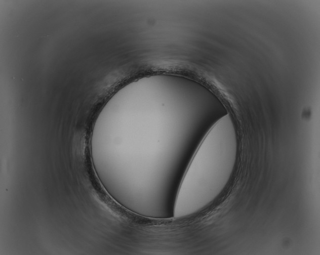 X0000091720637200708241021