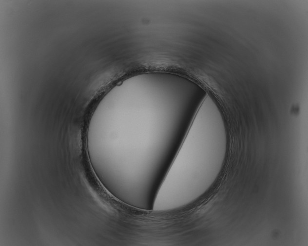 X0000091720638200708241021