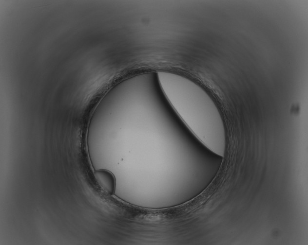 X0000091720639200708241021
