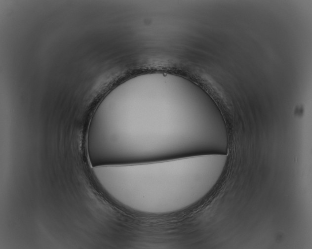 X0000091720640200708241021
