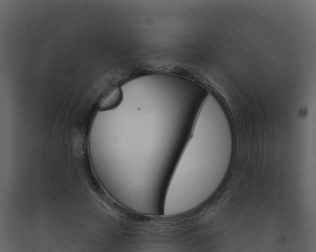 X0000091720641200708241021