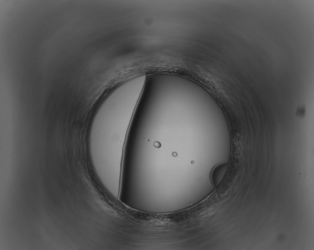 X0000091720642200708241021