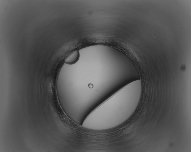 X0000091720643200708241021