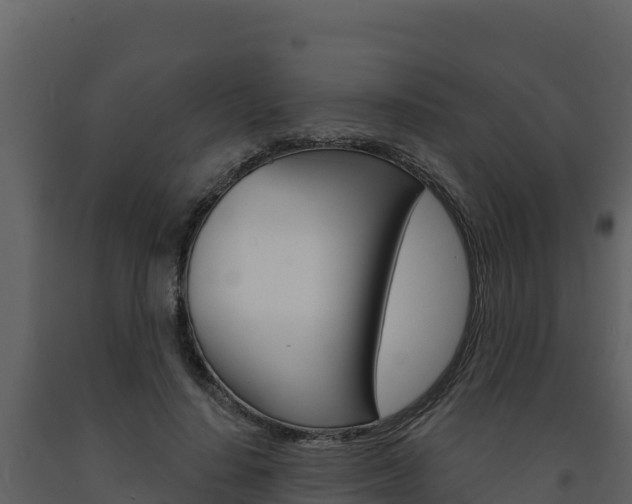 X0000091720644200708241021