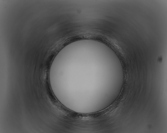 X0000091720645200708241021