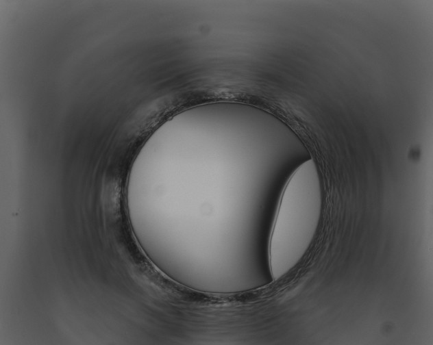 X0000091720646200708241021