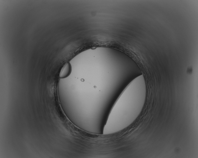 X0000091720647200708241021