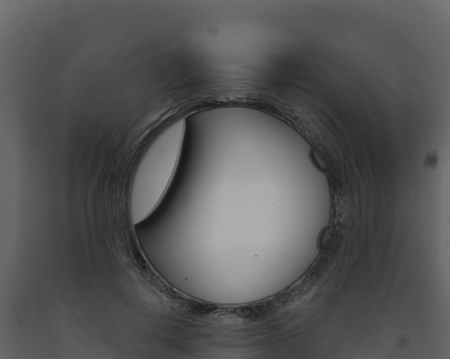 X0000091720648200708241021