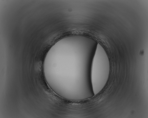 X0000091720649200708241021