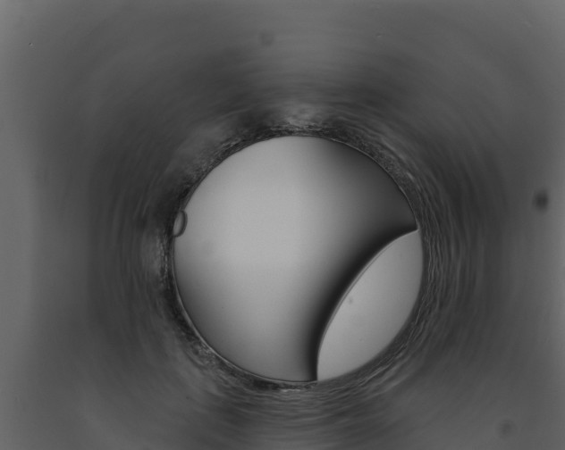 X0000091720651200708241021