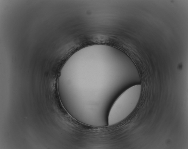 X0000091720652200708241021