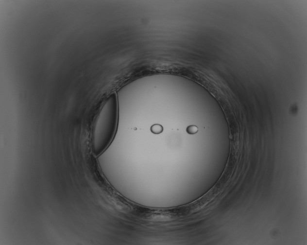 X0000091720653200708241021