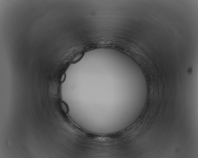 X0000091720654200708241021