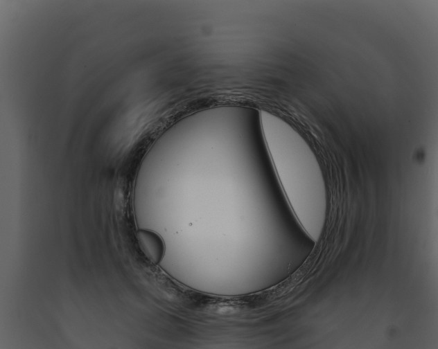 X0000091720655200708241021