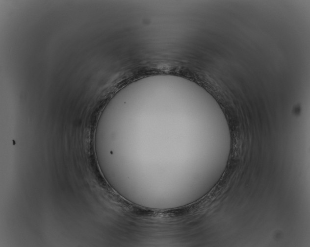X0000091720656200708241021