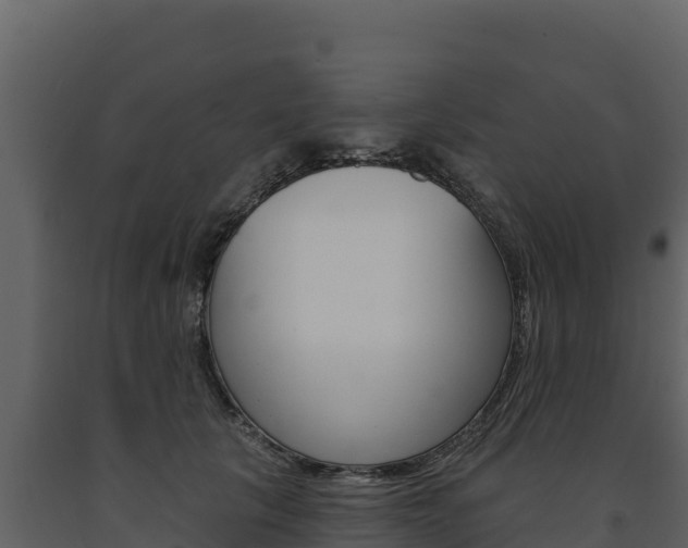X0000091720657200708241021