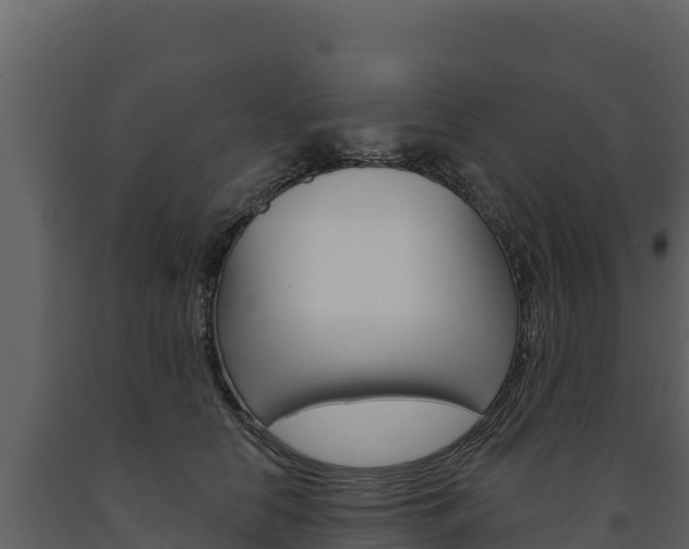 X0000091720658200708241021