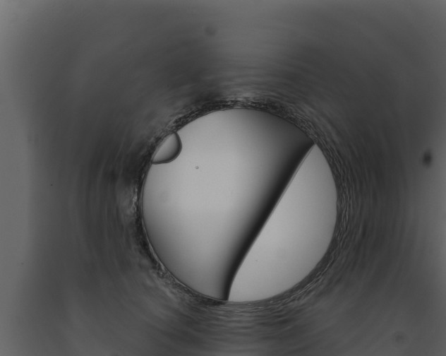 X0000091720660200708241021