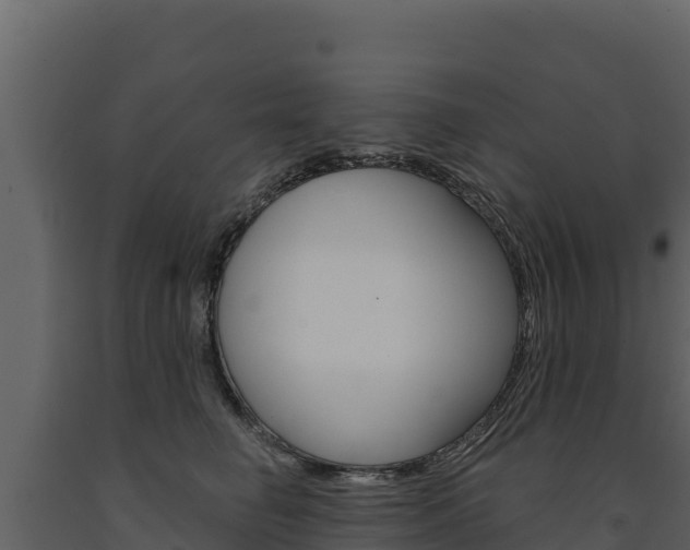 X0000091720662200708241021