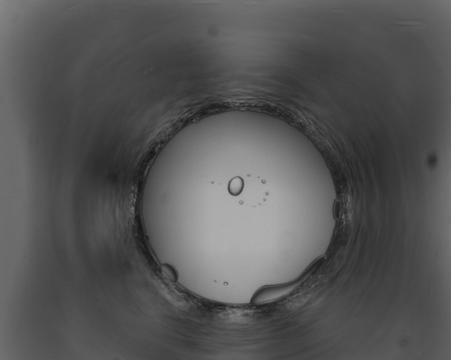 X0000091720664200708241021