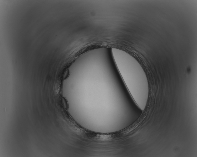 X0000091720665200708241021