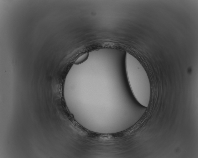 X0000091720666200708241021