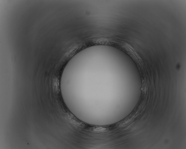 X0000091720669200708241021