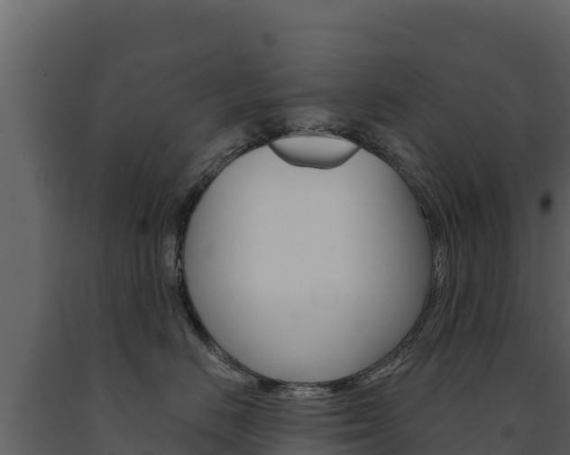 X0000091720670200708241021