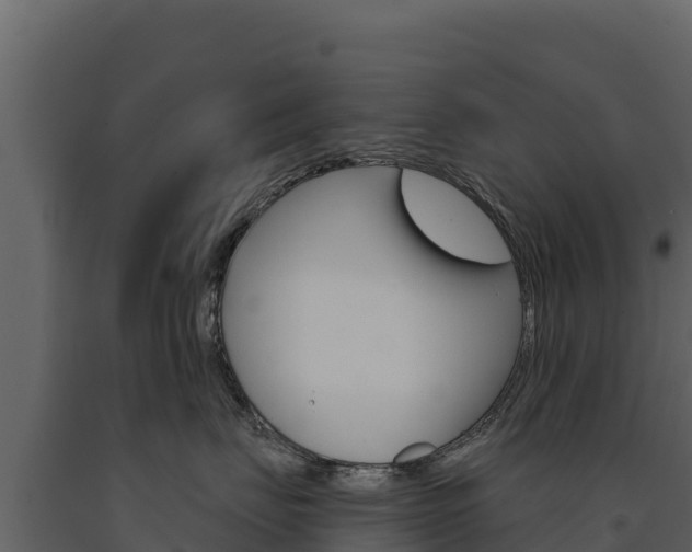 X0000091720671200708241021