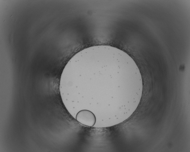 X0000091720672200708241021